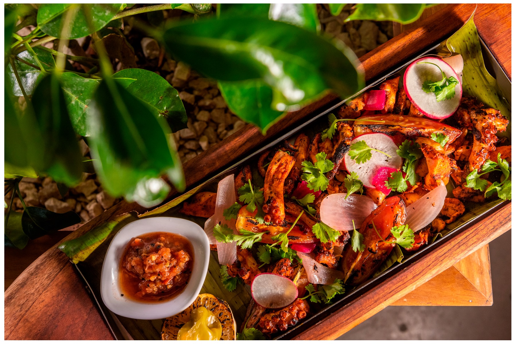 Pulpo Maya